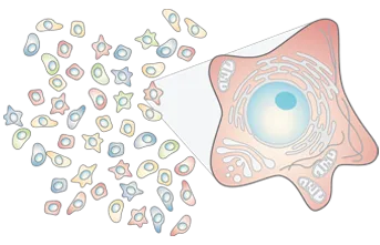 JUMP Cell Painting illustration: a field of stained cells with one magnified to show its organelles.